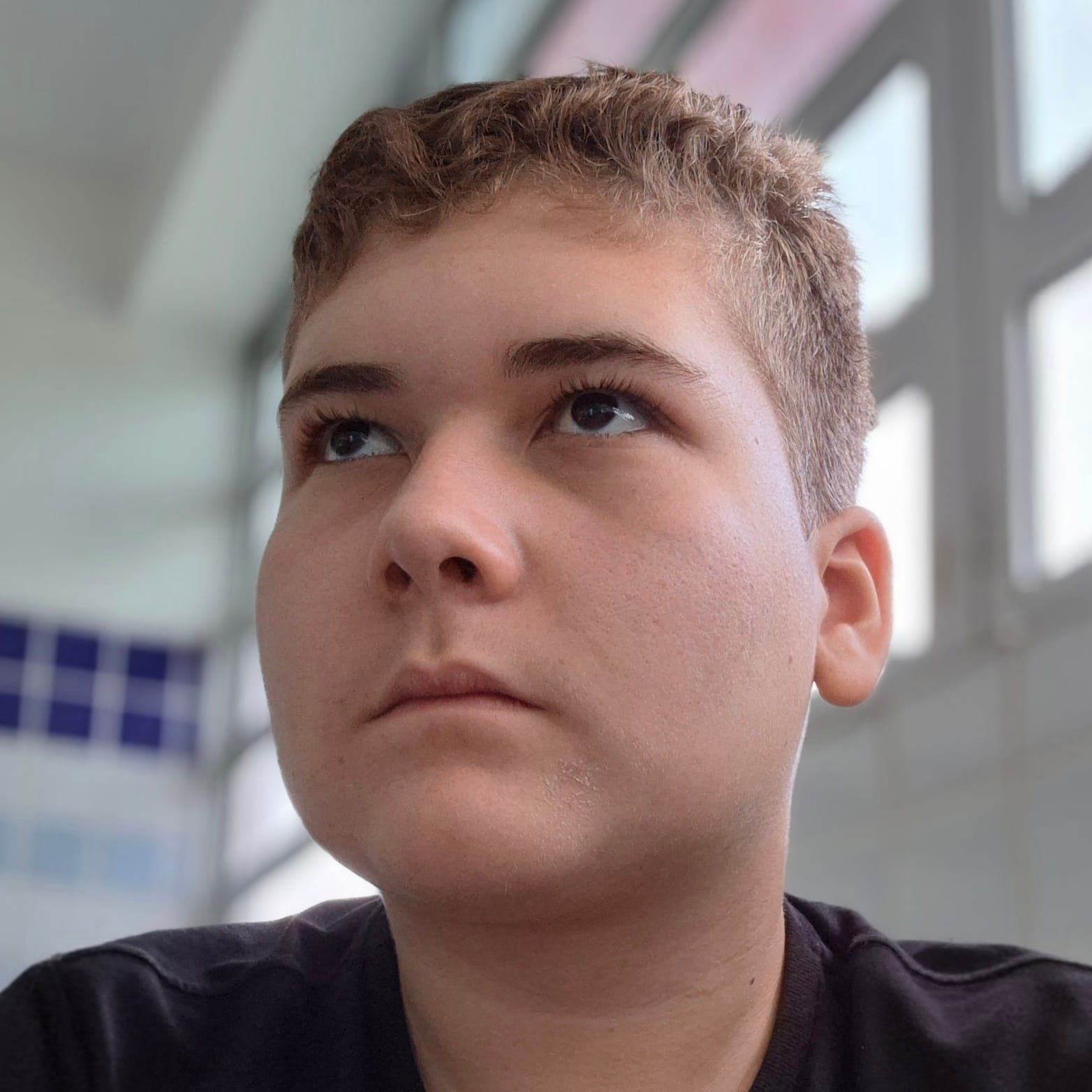 Perfil